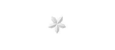 BOW